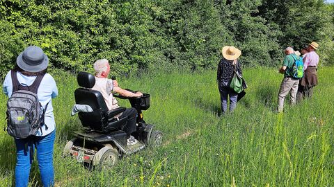 Unterwegs im Arboretum Main-Taunus Unterwegs im Arboretum Main-Taunus