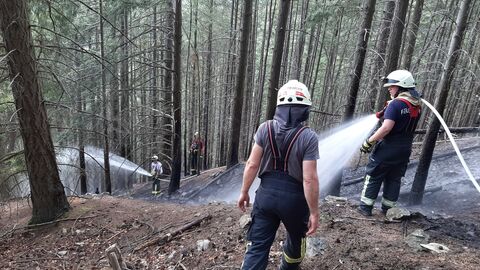 Auf dem Foto sehen sie zwei Feuerwehrmänner die einen Waldbrand löschen