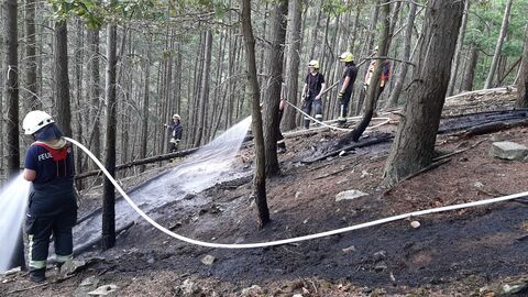 Auf dem Foto sehen sie weitere Feuerwehrleute die einen Waldbrand löschen