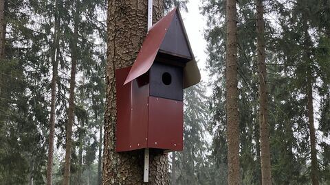 Rauhfußkautz Nistkasten Rauhfußkautz Nistkasten