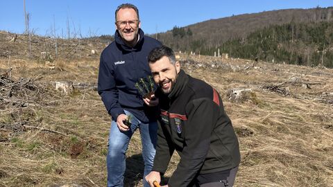 Vorführung Mini-Plug-Pflanzung durch Jochen Arnold Vorführung Mini-Plug-Pflanzung durch Jochen Arnold