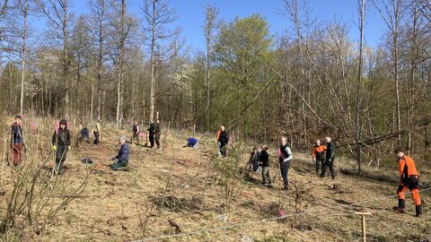 Pflanzaktion im Forstamt Nidda Auf dem Foto sehen sie eine Gruppe Menschen die im Wald pflanzt
