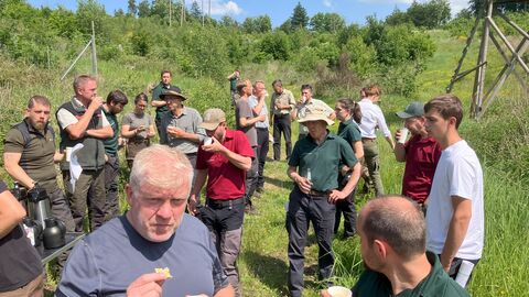 Mitarebitende von HessenForst beim Waldbaulehrgang im Forstamt Rotenburg 
