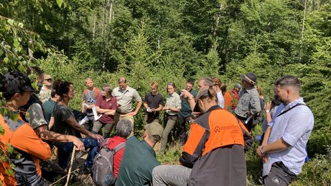 Mitarbeitende von HessenForst beim Waldbaulehrgang im Forstamt Rotenburg 