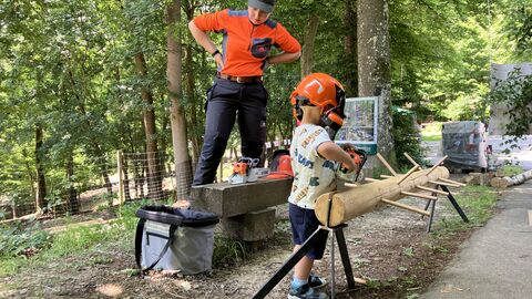 Mitmach-Aktionen mit HessenForst Mitmach-Aktionen mit HessenForst