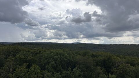 Perspektive im Taunus Perspektive im Taunus