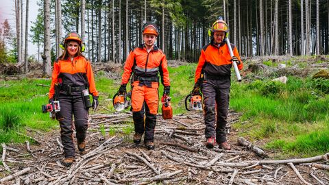 Forstwirte  Drei Forstwirte im Wald