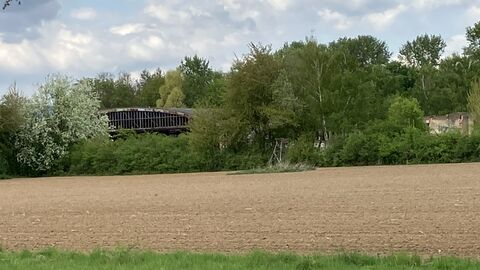 Hangar Ein alter Flugzeughangar ist hinter einem Feld und Büschen zu sehen.