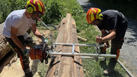 Zwei Menschen arbeiten an einem liegenden Baumstamm. 