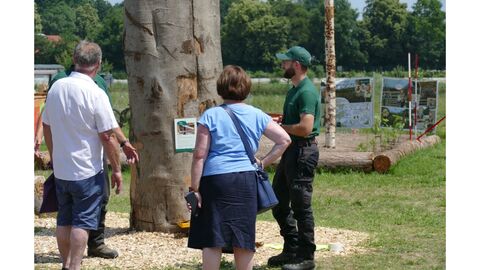 Ein Förtser erklärt den Besuchenden de Hessentages das Laubschadholzverfahren an einem buchenstamm