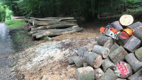 Brennholzpolter am Wegesrand neben bereits geschnittenem Holz, auf dem ein Forsthelm mit Motorsäge liegt. 