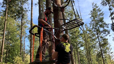Zwei Männer üben mit ihren Klettersitzen an einer Fichte. 