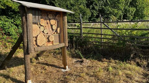 : Von schmalen Schlitzen bis zu größeren Bohrlöchern – vielfältige Arten können hier Unterschlupf finden Ein Intsektenhotel am Waldrand vor einer eingezäunten Kulturfläche.
