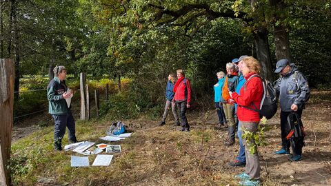 Information über die Geschichte der Waldweide durch Dr. Andreas Mölder, Nordwestdeutsche-Forstliche Versuchsanstalt Dr. Mölder steht vor den Teilnehmenden am Weidezaun und doziert zum Roten Höhenvieh.