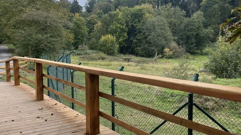 Bärenbrücke 2 Blick von der Bärenbrücke in das Bärengehege