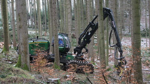 Harvesterdurchforstung Harvesterdurchforstung