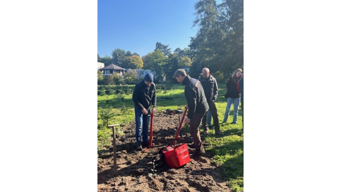 Mitarbeiter pflanzen Containerpflanzen in einem Beet. 