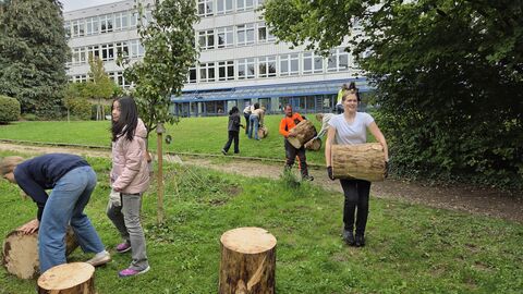 Kinder platzieren Sitzrollen aus Holz auf einer Wiese. 