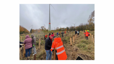 Menschen pflanzen auf einer Wiese Bäume. Im Hintergrund stehen Windräder. 