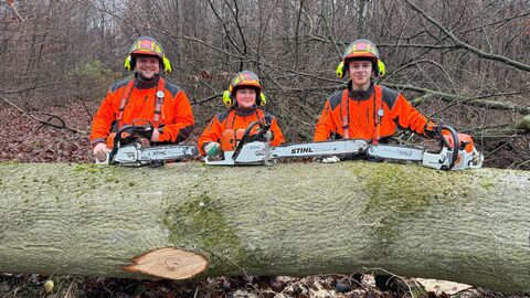 Drei junge Leute in Schutzausrüstung stehen hinter einem Baumstamm, auf dem zwei Motorsägen liegen. 