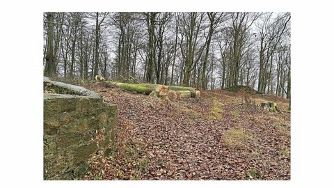 Verkehrssicherung an der Brugruine Rodenberg