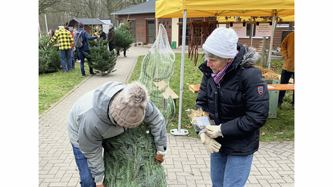 Zwei Personen packen einen Weihnachtsbaum aus. 