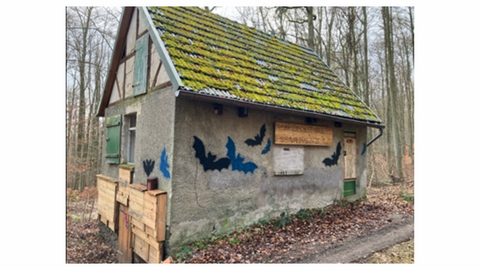 Ein Häuschen im herbsltichen Wald, an dem verschiedene Holzkästen angebracht wurden. 
