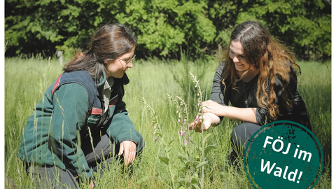 Eine Försterin hockt mit einer Schülerin auf einer Waldwiese. Beide schauen sich an, was die Schülerin in den Händen hält. Rechts sieht man grafisch einen grünen Button mit der Aufschrift "FÖJ im Wald"