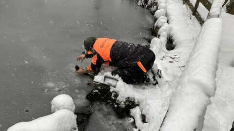 Ein Mitarbeiter von HessenForst kniet am verschneiten Teich und zieht etwas aus der gefrohrenen Eisdecke. 