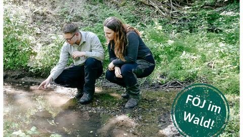 Ein Förster und eine Schülerin hocken an einem Bach und schauen sich das Gewässer an. Der Förster zeigt auf die Wasseroberfläche, während die Schülerin mit Ihrem Blick folgt. 