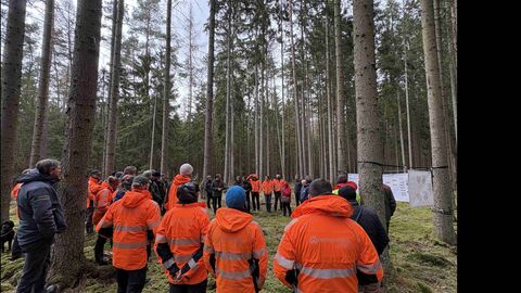 Eine Gruppe von etwa 50 Personen diskutieren die Ergebnisse des Teilprojektes „Klimaschutz PLUS".