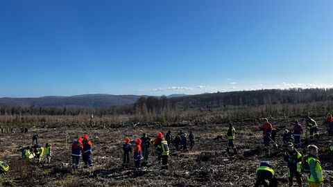Gruppe Kinder in Feuerwehrkleidung auf der Pflanzfläche