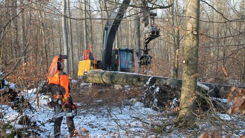 Ein Forstarbeiter steht vo einem Seilbagger im Winterwald