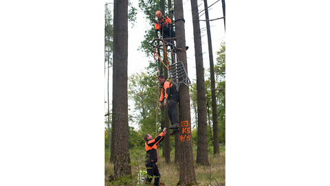zwei Männer retten einen dritten vom Klettersitz. Sie tragen Signalkleidung. 