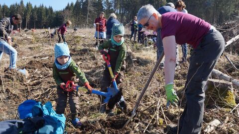 Eine Frau und ein paar Kinder pflanzen Bäume auf einer Freifläche im Wald.