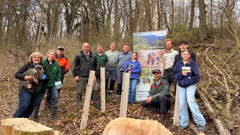 Eine Gruppe posiert an einem Hang vor gepflanzten Bäumen, die sich in Wuchshüllen befinden. Im Vordergrund schnüffelt ein Labrador am Boden.  Im Hintergrund steht ein Rollup zum Thema Wald. 
