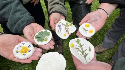 Sechs Hände halten Tontaler mit Wiesenkräutern ins Bild. 