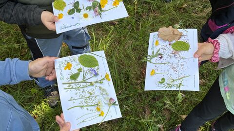 Kinder halten gesammelte Blätter und Pflanzen auf einem Papier abgelegt in der Hand. 