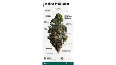 Multitalent Wald