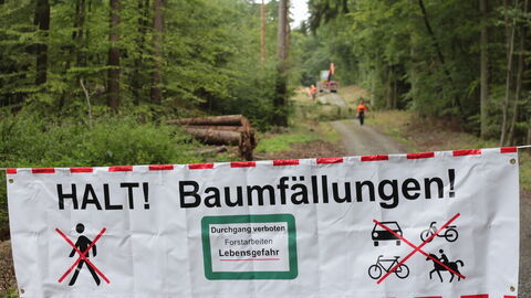Ein Sperrbanner im Wald. 