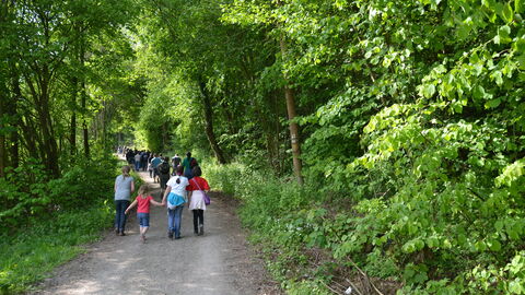 Kinder auf einem Waldweg, die vom Betrachter in den Wald hinein laufen