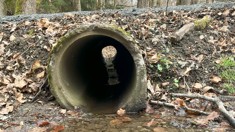 Kanalrohr im Wald verhindert Wanderungsbewegung für Wasser-abhängige Tier und soll zurückgebaut werden. Innen- und Außenansicht Kanalrohr