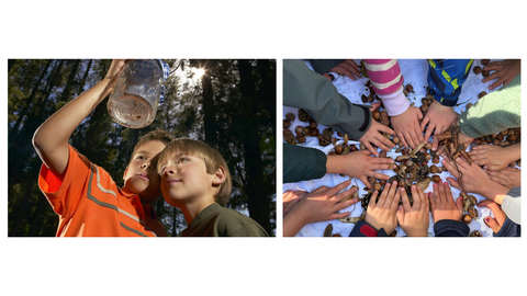 Zwei Jungen halten ein Glas in die Luft und schauen, ob sie mit bloßem Auge Tiere und Pflanzen erkennen können; Kinderhände fühlen Kastanien, Eicheln. Bucheckern. 