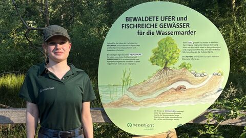 Eine junge Frau steht neben dem knapp einem Meter großen, oval-runden Schild „Lebensraum Fischotter“. 