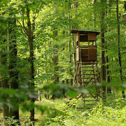 Hochsitz Hochsitz