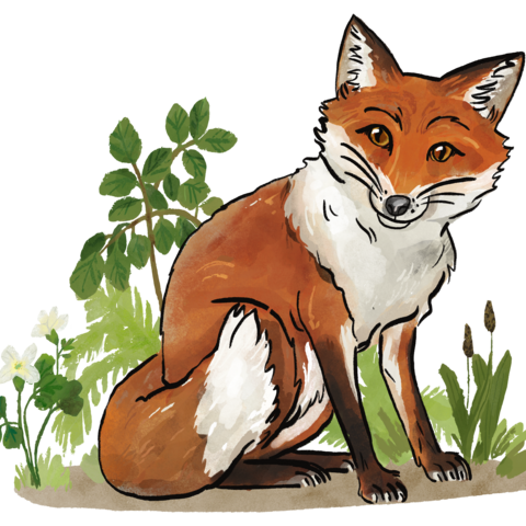 Schlau wie ein Fuchs Gezeichneter sitzender Fuchs